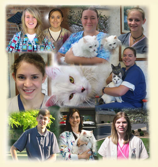 Skyline Veterinary Clinic Staff