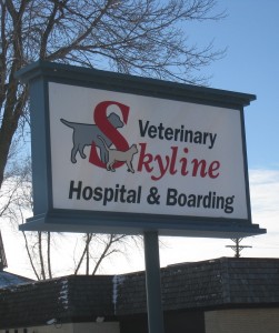 Skyline in winter